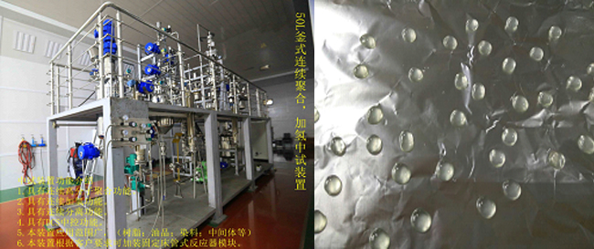 祝賀國內(nèi)首套釜式連續(xù)加氫中試成套裝置一次出料成功！.jpg